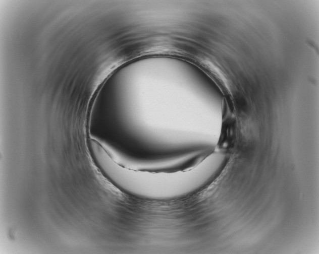 X0000096481330200802071910