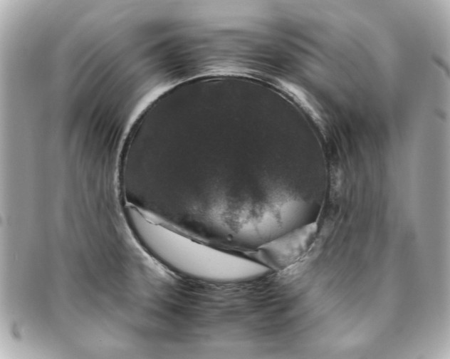 X0000096481331200802071910