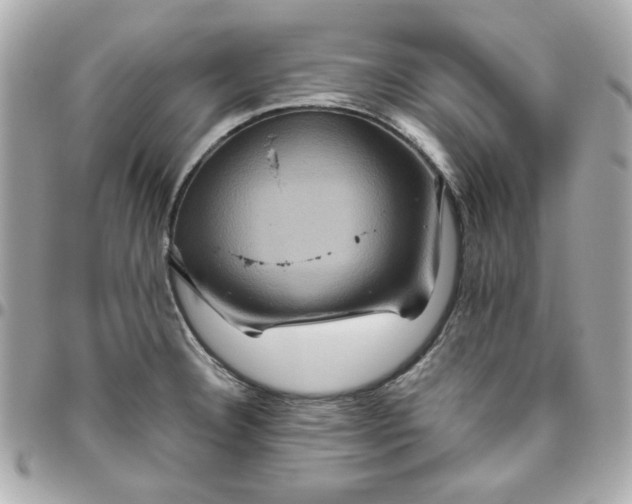 X0000096481332200802071910