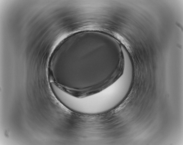 X0000096481334200802071910