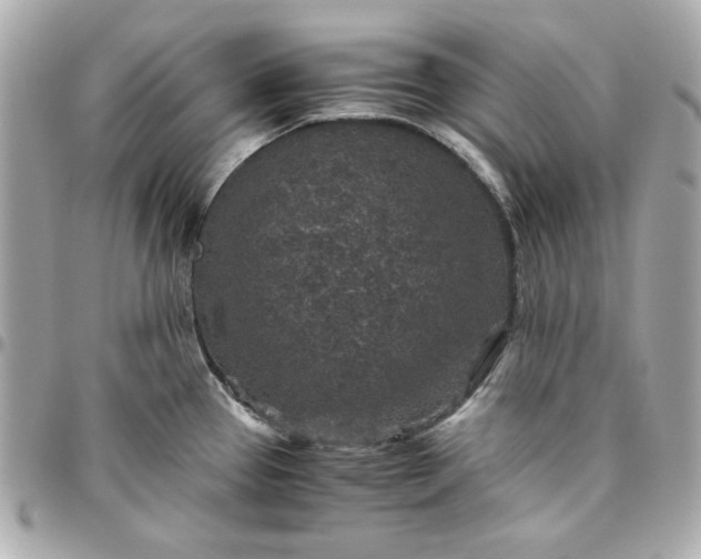 X0000096481337200802071910