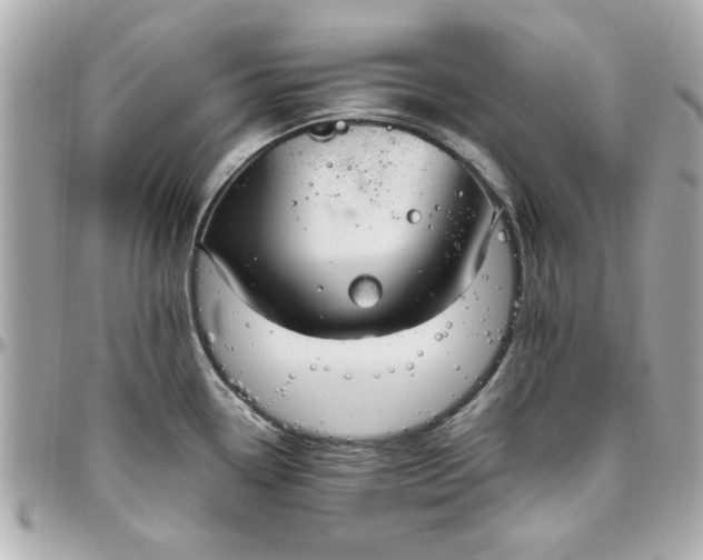 X0000096481338200802071910