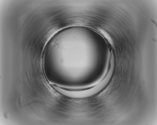 X0000096481340200802071911