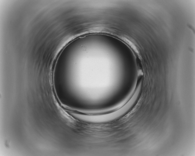 X0000096481342200802071911