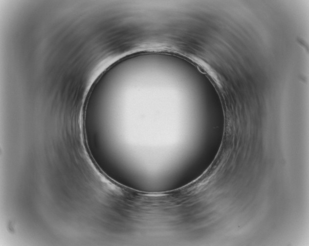 X0000096481343200802071911