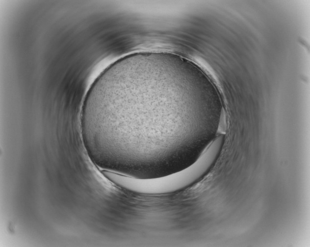 X0000096481344200802071911