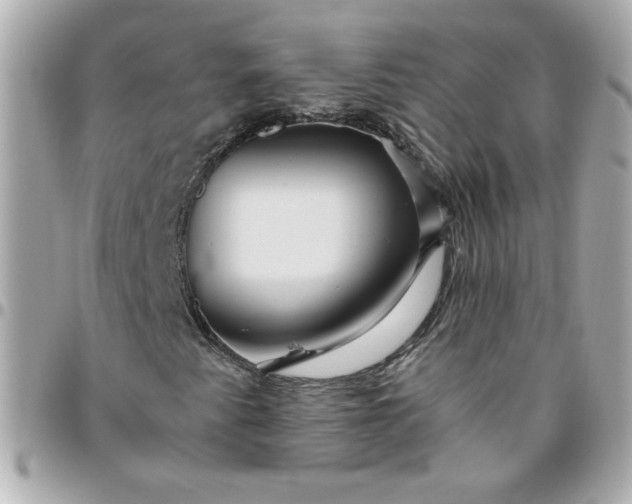 X0000096481345200802071910