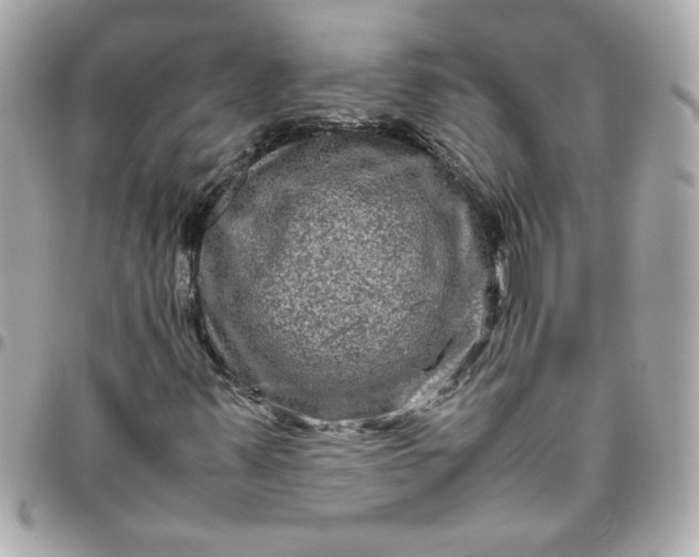 X0000096481347200802071910