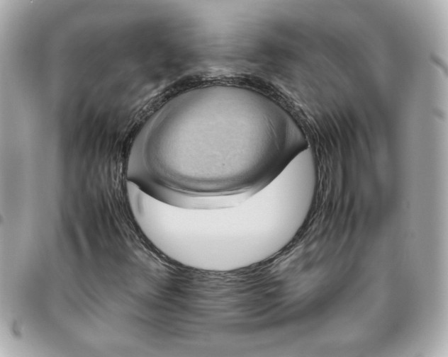 X0000096481348200802071910