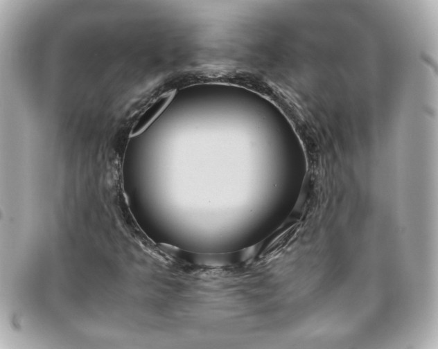 X0000096481349200802071910