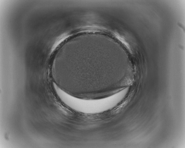 X0000096481352200802071910