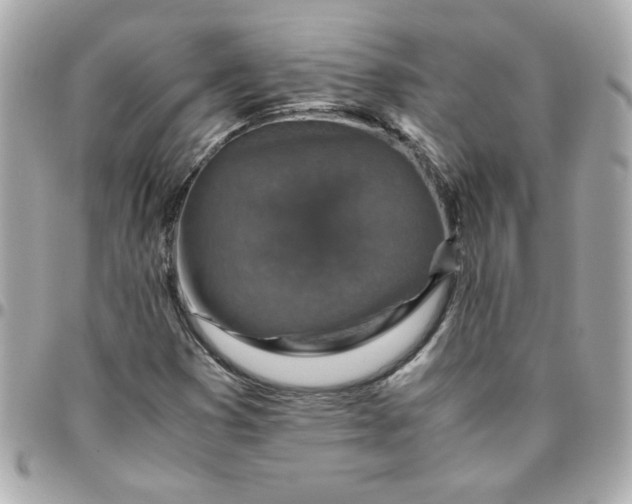 X0000096481353200802071910