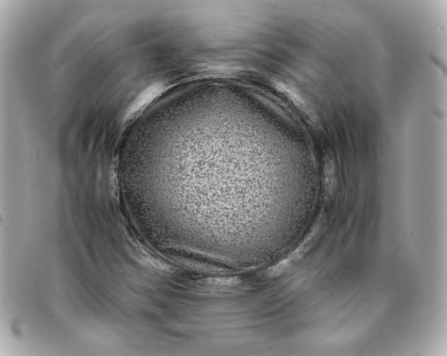 X0000096481354200802071910