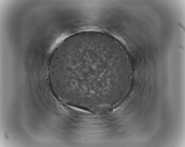 X0000096481359200802071910