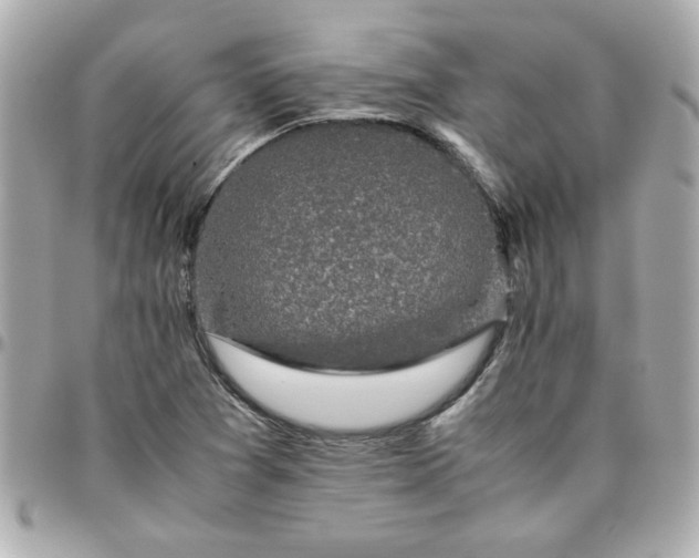 X0000096481361200802071910