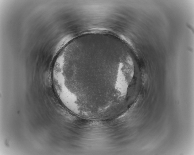 X0000096481362200802071909