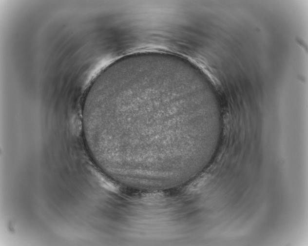 X0000096481363200802071909