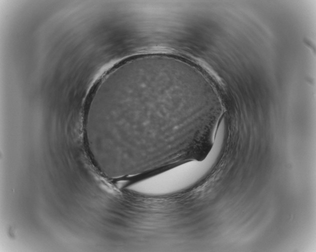 X0000096481364200802071909