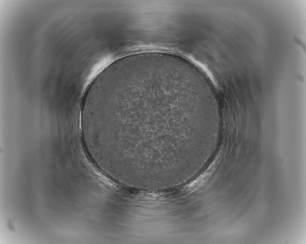 X0000096481365200802071909