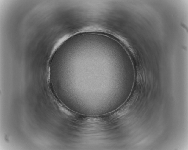 X0000096481366200802071909