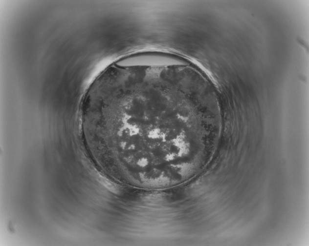 X0000096481367200802071909