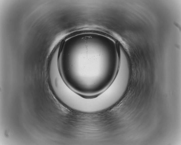 X0000096481368200802071909