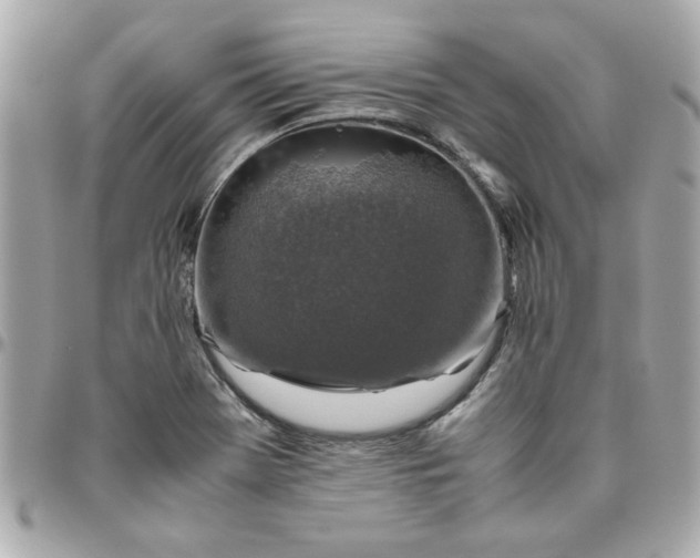 X0000096481369200802071909