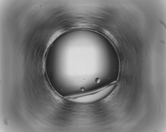 X0000096481370200802071909