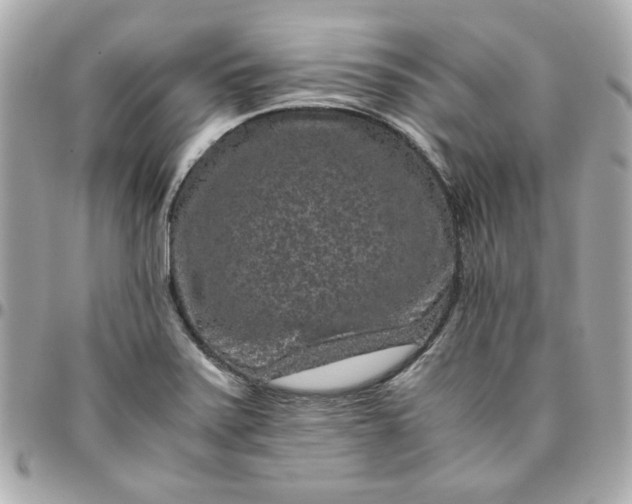 X0000096481371200802071909