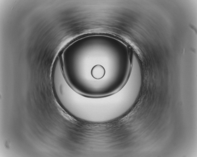 X0000096481372200802071909