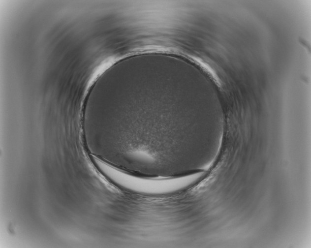 X0000096481373200802071909