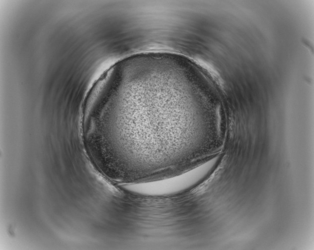 X0000096481374200802071909