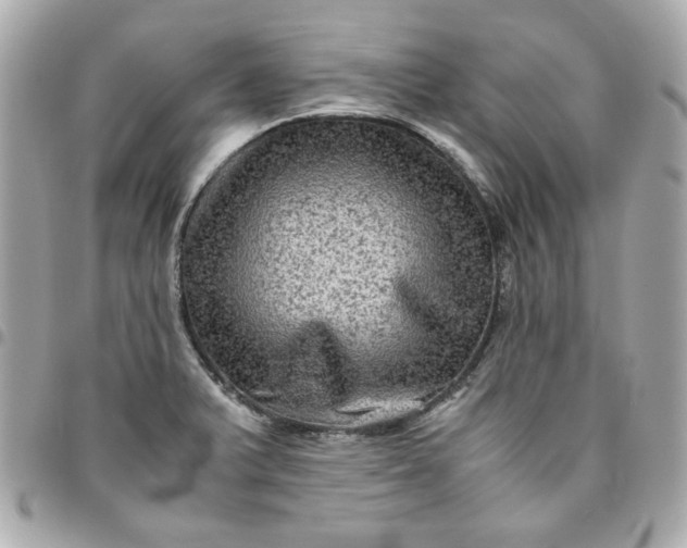 X0000096481375200802071909