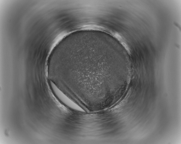 X0000096481376200802071909