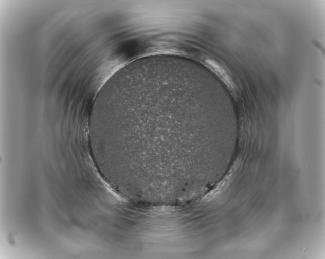 X0000096481377200802071909