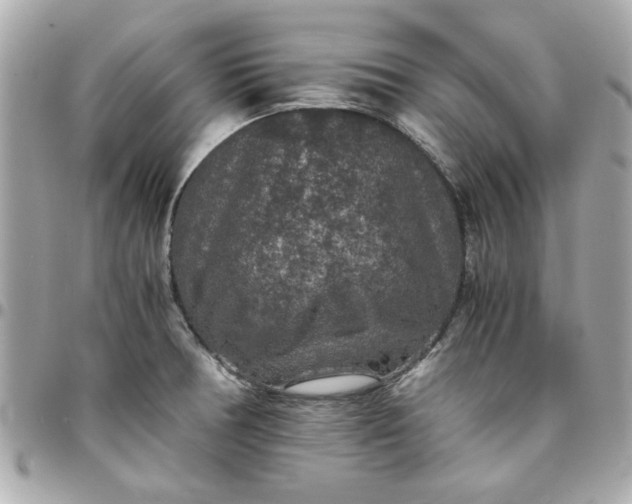 X0000096481378200802071909