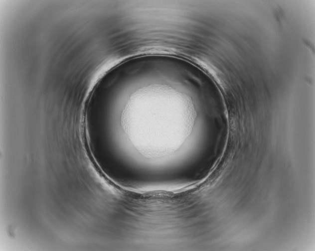 X0000096481379200802071909