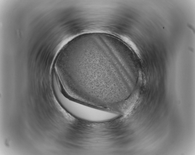 X0000096481380200802071909