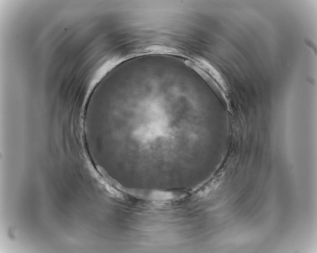 X0000096481381200802071909