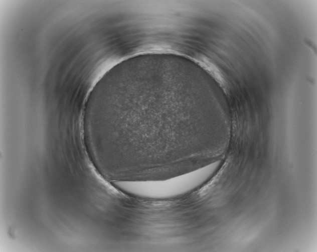 X0000096481382200802071909