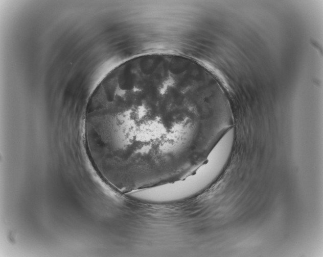 X0000096481383200802071909