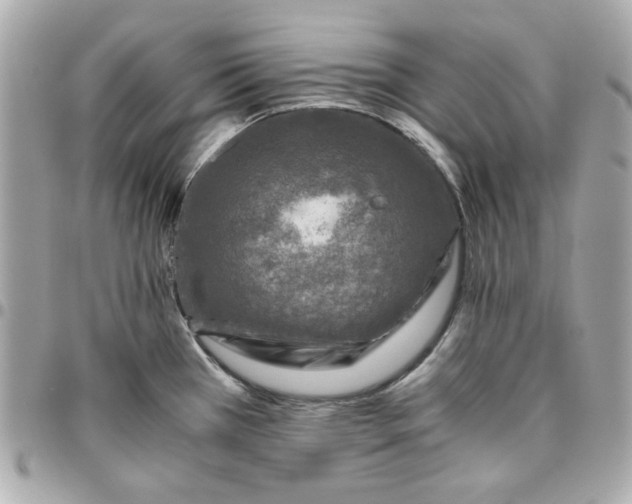 X0000096481385200802071909