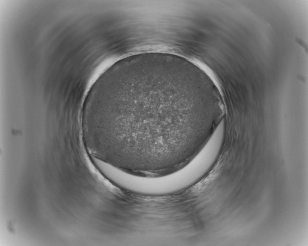 X0000096481389200802071909