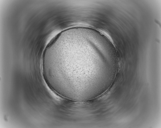 X0000096481391200802071909