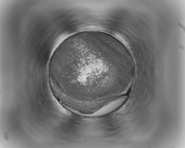 X0000096481392200802071909