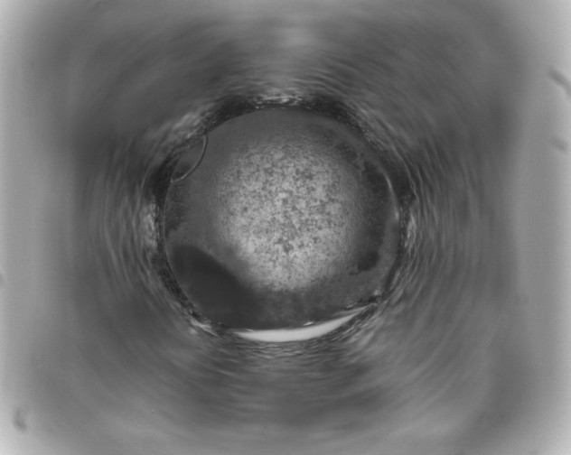 X0000096481394200802071908