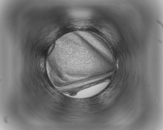 X0000096481396200802071908