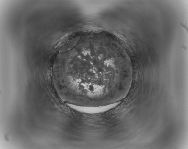 X0000096481397200802071908