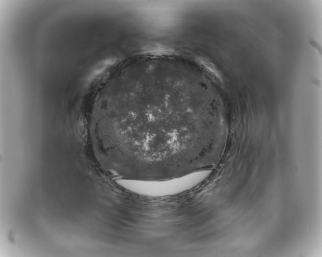 X0000096481398200802071908