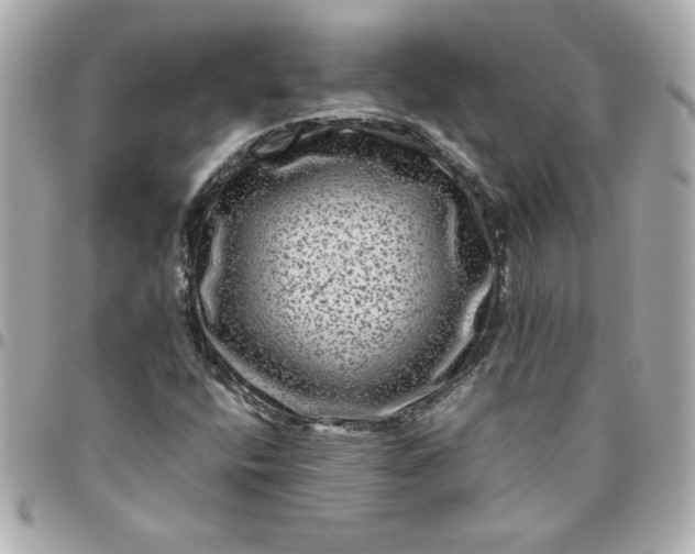 X0000096481400200802071909